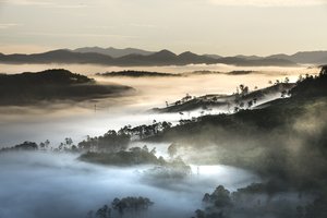 男的说感情