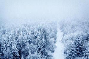 清远情感挽回专家咨询