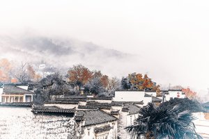 内向固执的女人重感情吗